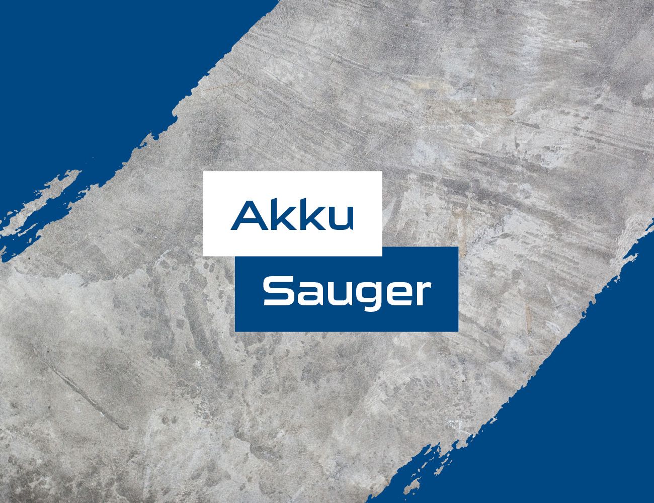 Akku Sauger