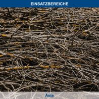 Netzwerk von Ästen mit kleinen gelben Flecken, typisch für Einsatzbereiche von Scheppach-Aufhängesystemen
