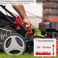 Mulchfunktion mit 7 einstellbaren Schneithöhen zwischen 25 und 75 Millimeter auf Scheppach-Rasenmäher