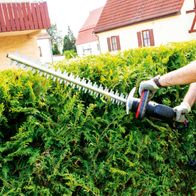 Hecke, Pflanze, Gras, Handschuh, Garten