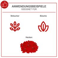 Anwendungsbeispiele für die Heckenschere HT600: Geeignet für Sträucher, Büsche und Hecken. Die Heckenschere ist vielseitig einsetzbar und ideal für die Pflege von Gärten und Grünflächen.
