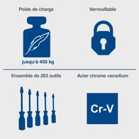 Workshop trolley TW1000 Scheppach: 263-piece tool set, lockable, up to 450 kg load capacity, made of chrome vanadium steel.