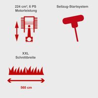 Der Benzin-Rasenmäher MS225-56 von Scheppach hat eine Motorleistung von 224 cm³ und 6 PS. Er verfügt über ein Seilzug-Startsystem und eine XXL Schnittbreite von 560 cm.