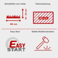 Wiesenmäher-WMP161-56: Schnittbreite 56 cm, Schnitthöhe 40–95 mm, Flächenleistung 800 m²/h mit leichter Startfunktion und stabiler Stahlkonstruktion