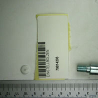 Einstellbolzen RD 12x44 von Scheppach. Gezeigt von der Seite mit einem Maßstab zum Größenvergleich.