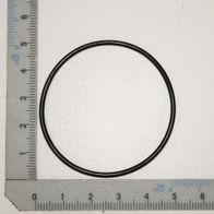 O-Ring für Pumpe mit Durchmesser 46,2 mm, Maßstab für Größenvergleich