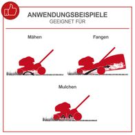 Der Benzin-Rasenmäher MS225-56 von Scheppach eignet sich zum Mähen, Fangen und Mulchen. Er hat eine Schnittbreite von 56 cm, einen Antrieb und eine 65L Fangbox.