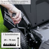 Der Benzin-Rasenmäher LMT 161-46 von Scheppach bietet 7 Schnitthöhen von 25 bis 75 mm.