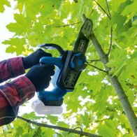 Scheppach Akku-Kettensäge mit Brushless-Technologie, Akku und Griff, für präzise Schnitte in der Gartenarbeit