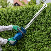 Personen beim Schneiden von Hecken mit Scheppach-Akku-Heckenschere