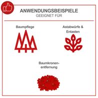 Anwendungsbeispiele für Baumpflege, Astabwurf und Baumkronenentfernung mit Scheppach-Produkten