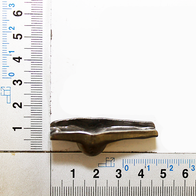 Ein Kipphebel von Scheppach, wie er von der Seite zu sehen ist.