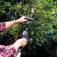 Person hält Scheppach-Hochentaster mit ergonomischem Griff für Gartenarbeit