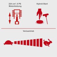 Der Benzin-Rasenmäher MS225-53E VS Scheppach hat einen 224 cm³ Motor mit 6 PS Leistung. Er verfügt über einen Hybrid-Start und einen Varioantrieb.