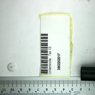 Umlenkrolle (Teil 13) für Scheppach-Produkt nach Nummer 3902202017