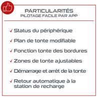 Seite, Text