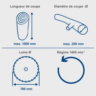 Technische Merkmale einer Wippsäge: Schnittlänge bis 1500 mm, maximaler Schnittdurchmesser 250 mm, Sägeblattdurchmesser 700 mm, Drehzahl 1400/min