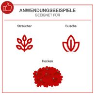 Anwendungsbeispiele für die Benzin-Heckenschere BHS650: Geeignet für Sträucher, Büsche und Hecken. Ideal für präzises Schneiden und Formen von Pflanzen.