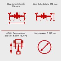 Technische Spezifikationen der Benzin-Motorhacke: Arbeitsbreite 750 mm, Arbeitstiefe 310 mm, Motor 212 cm³, 4,2 kW / 5,7 PS, Hackmesser Ø 310 mm