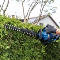 Scheppach Akku-Heckenscheren-Handgriff beim Schneiden von Büschen mit Akku-Betrieb