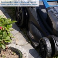 Gras, Sprach, Rad, Leichtmetallrad, Pflanze im Topf