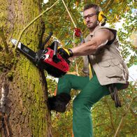 Arbeitsmann mit Scheppach-Kettensäge im Baum, Sicherheitsausrüstung und Seil für Fallschutz