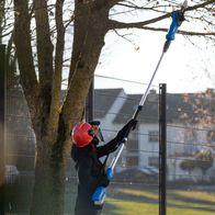 Arboristen mit Schutzausrüstung beim Arbeiten an einem Baum mit Scheppach-Multifunktionswerkzeug