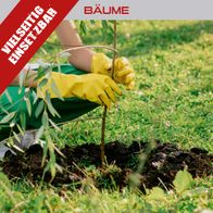 Person beim Pflanzen eines Baumes mit Erdbohrer, Fokus auf Arbeitsschutz und Pflanztechnik