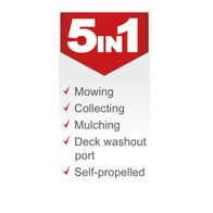 Self-propelled petrol lawn mower featuring mowing, collecting, mulching, washout port, and mulching function