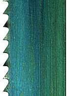 Scheppach Bandsägeblatt, 2100mm lang, 12mm breit, 0,65mm dick, 10 Zähne pro Zoll, von oben fotografiert.