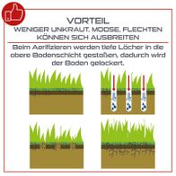 Illustration zur Wirkung des Aerifizierens: Verringerung von Unkraut und Moos durch Belüftung des Rasens durch tiefe Löcher im Boden.