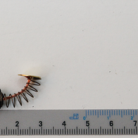 Spule, Spirale, Maschine, Rotor