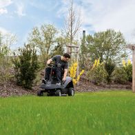 Mann fährt Scheppach Aufsitzrasenmäher durch den Garten