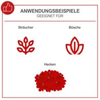 Illustration mit Anwendungsbeispielen für Sträucher, Büsche und Hecken für Scheppach-Hacke