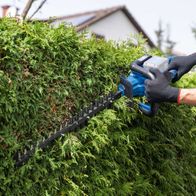 Die Akku Heckenschere BC-HT720-X von Scheppach mit 650 mm Schnittlänge und 30 mm Schnittstärke. Brushless Motor für effizientes Schneiden. Leichte Handhabung und präzise Schnittführung.