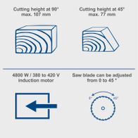 Table saw with 4800 W / 380 to 420 V induction motor. Saw blade can be adjusted from 0 to 45°. Cutting height at 90° max. 107 mm, at 45° max. 77 mm.