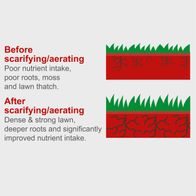 Illustrates before and after effects of scarifying/aerating grass, emphasizing root depth and nutrient intake