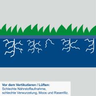Wichtige Hinweise zur Vorbereitung auf Vertikutieren/Lüften: Schlechte Nährstoffaufnahme, Verwurzelung und Moos/Rasenfilz