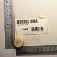 Scheppach Abstreifer (Teil H32) mit Beschriftung und Barcode