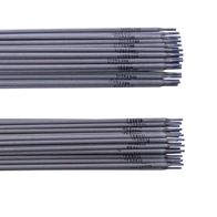 Elektroden-Set WSE1000 mit Elektroden in zwei Größen, von oben fotografiert.