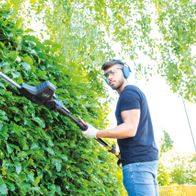 Ein Mann schneidet mit einer Elektro Heckenschere TPX710 von Scheppach einen grünen Heckenwall. Er trägt Schutzbrille und Gehörschutz. Die Heckenschere ist ein Teleskopmodell.