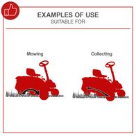 The image shows examples of use for the Scheppach device. On the left, there is a lawnmower cutting grass, and on the right, a lawnmower collecting grass. Both functions are suitable for lawn care.