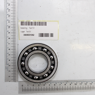 Wälzlager (Teil 51) mit integrierten Schrauben für Lagerung und Führung