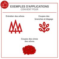 Die Kettensäge CSP2540 eignet sich für Baumwartung, Astschneiden und Baumspitzen schneiden.