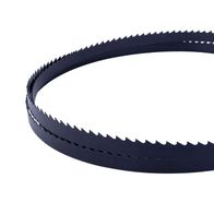 Sägeband 2240x13x0.5x4TPI von Scheppach, von oben fotografiert.