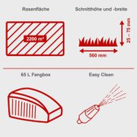 Mähbreite von 56 cm mit Schnitthöhenregelung (25–75 mm), 65-Liter Fangbox für einfache Reinigung