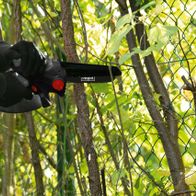 Person hält Akku-Gehölzschneider von Scheppach beim Arbeiten an Baumstämmen