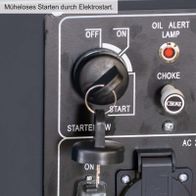 Startknopf und Ölwarnleuchte für Diesel-Stromerzeuger mit Elektrostarter