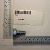Scheppach-Gelenkschraube (Bolt) mit Beschriftung 79621005