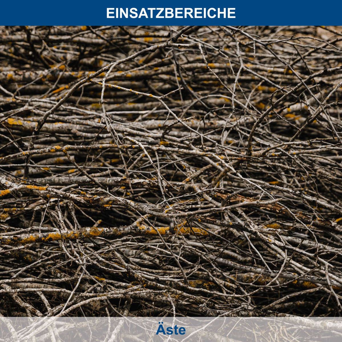 Netzwerk von Ästen mit kleinen gelben Flecken, typisch für Einsatzbereiche von Scheppach-Aufhängesystemen